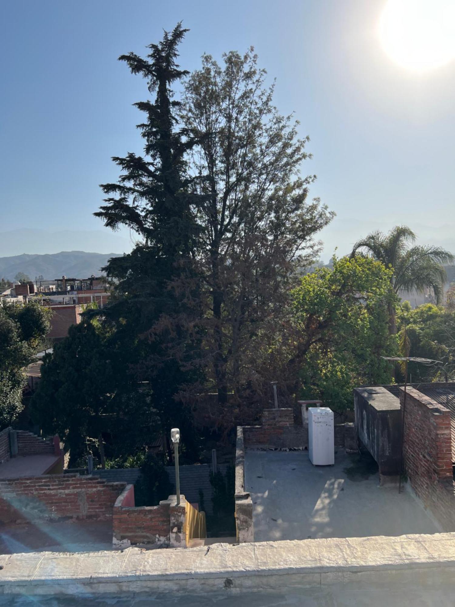Cuyaya Hostel San Salvador de Jujuy Eksteriør bilde