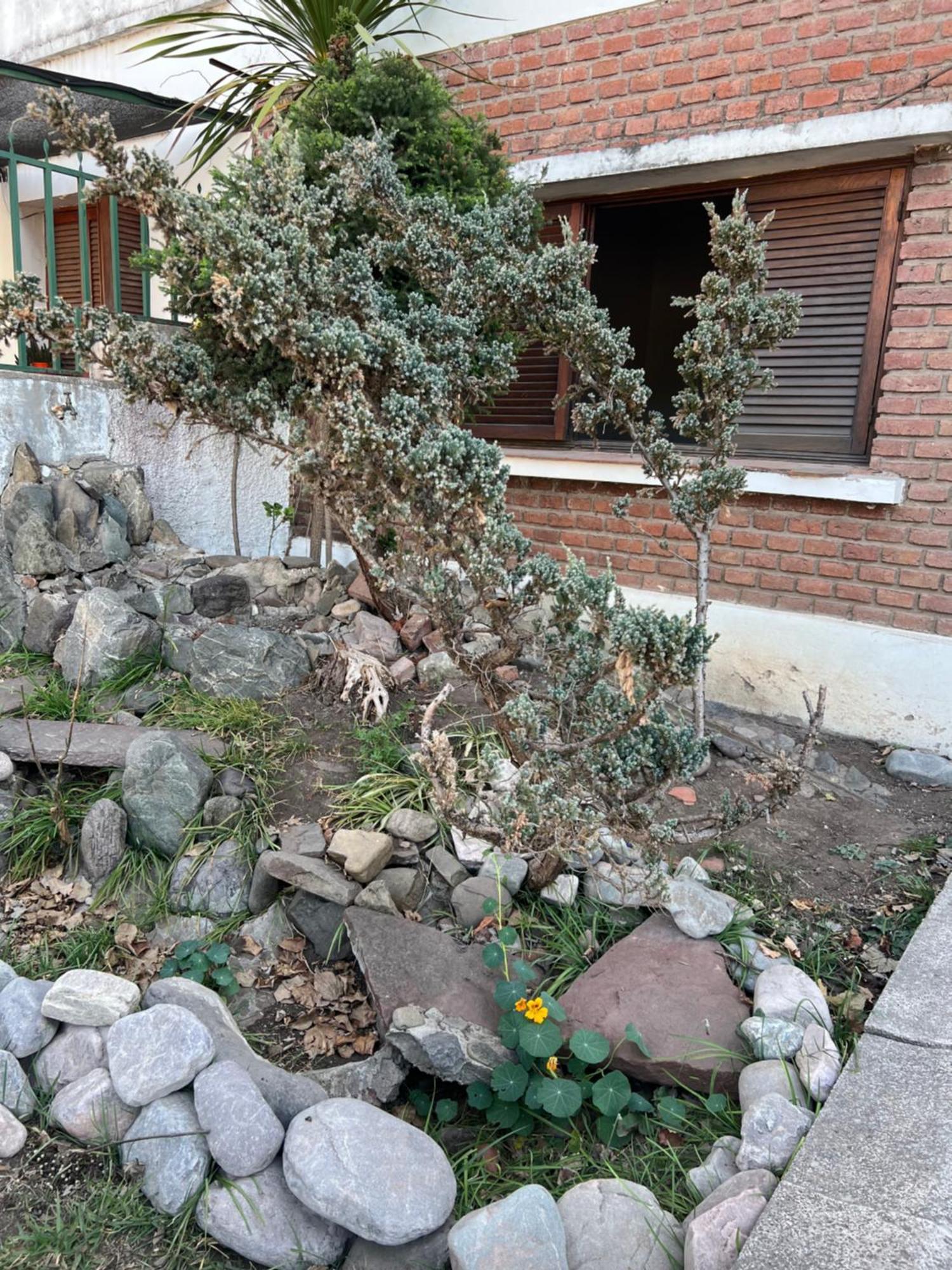Cuyaya Hostel San Salvador de Jujuy Eksteriør bilde
